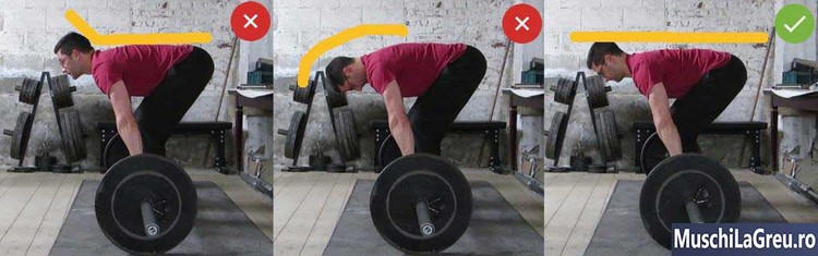 Ramat cu bara (Barbell Row) Head Position