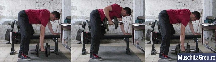 Dumbbell Rows