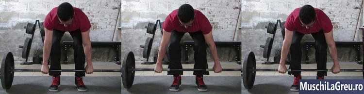 Barbell Row Grip Width