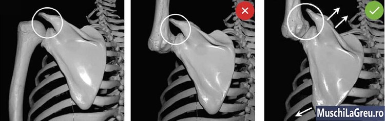 Presa-deasupra-capului-cu-bara Shoulder Injuries